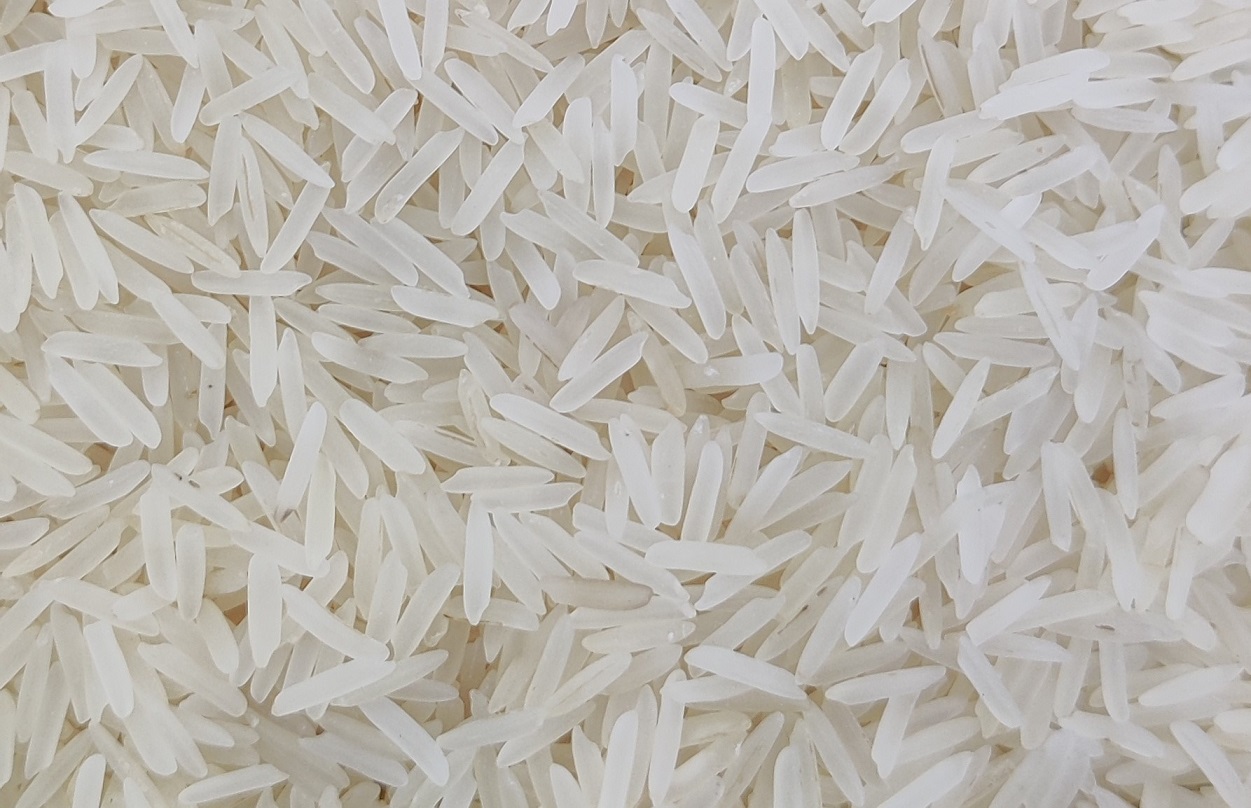 Sharbati Raw Rice
